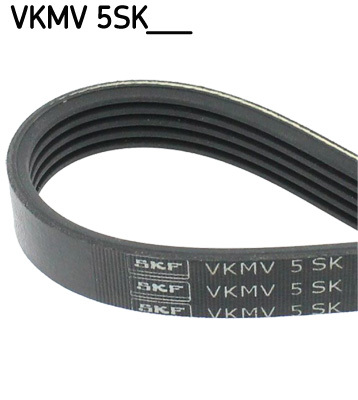 Pasek klinowy wielorowkowy VKMV 5SK595 SKF
